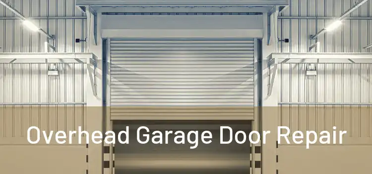  Overhead Garage Door Repair 